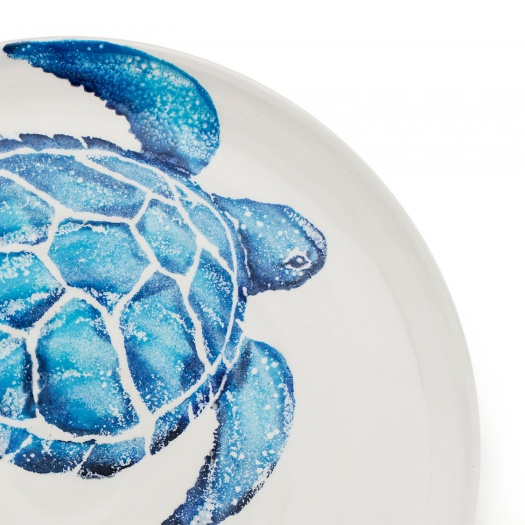 Platter Turtle