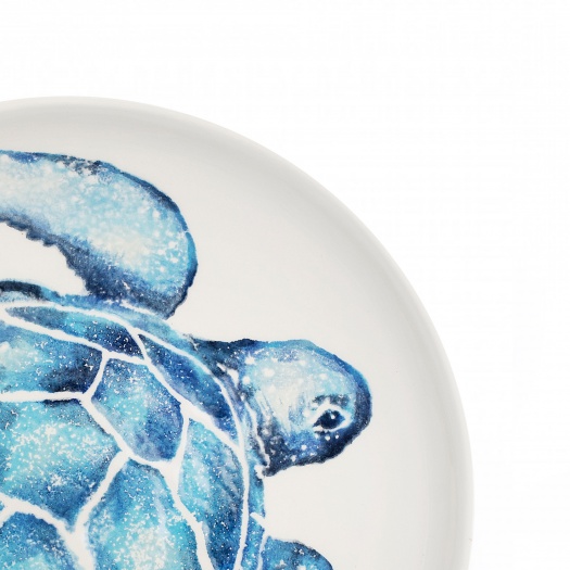 Turtle Supper Bowl