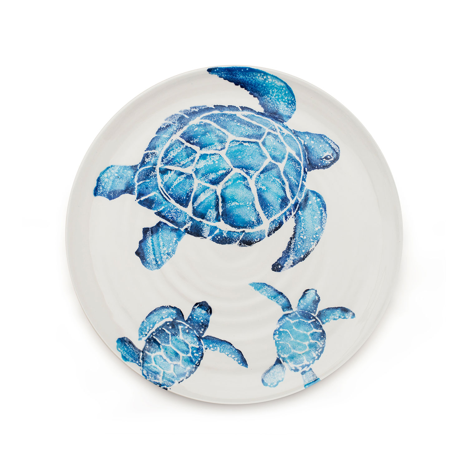 Platter Turtle