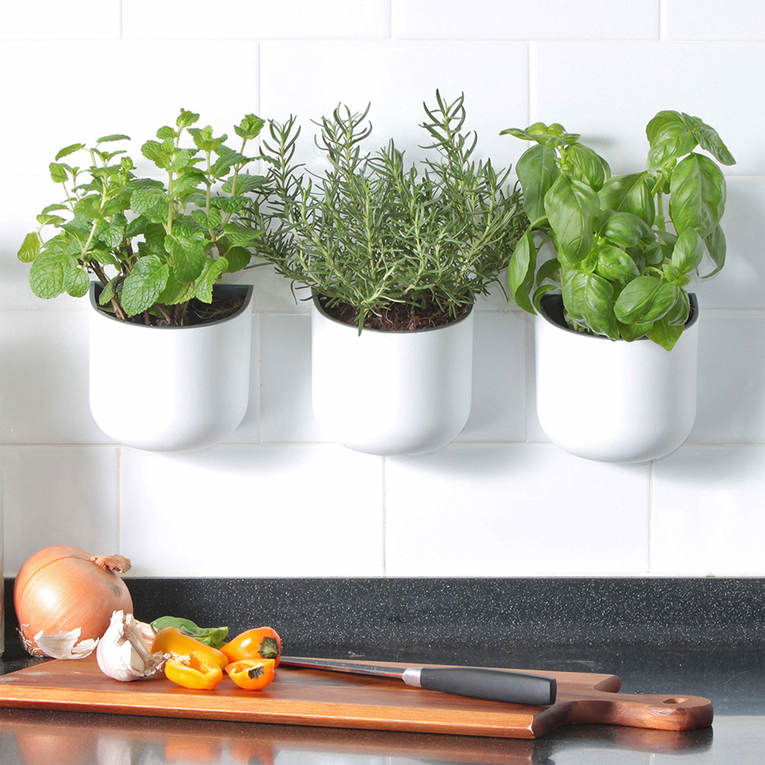 Eden Suction Herb/Plant Pot | White